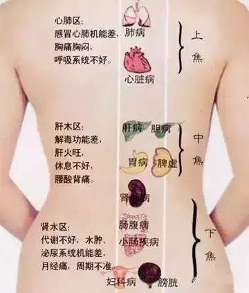 背診:一看就懂,一學就會!