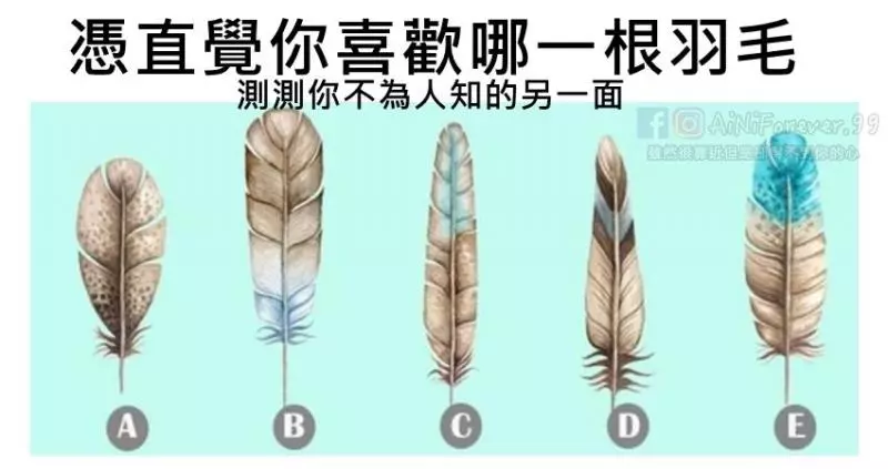 【心理測試】憑直覺你喜歡哪一根羽毛?測測你不為人知的另一面