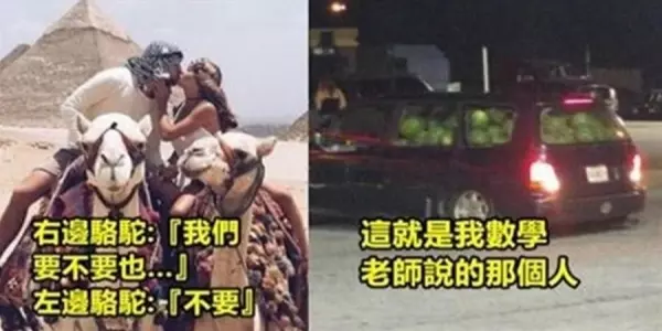 16張毫無釐頭 但會讓你會心一笑的「幽默梗圖」