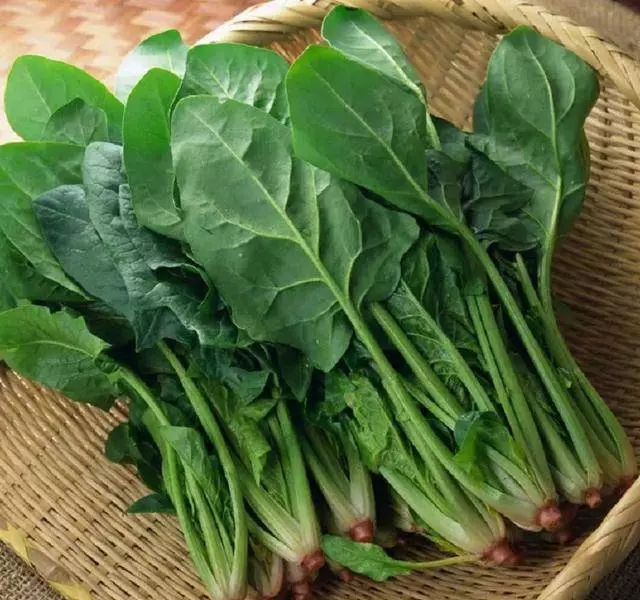 3種隔夜菜,吃不完不要捨不得扔,尤其是第一種,要趕快丟掉