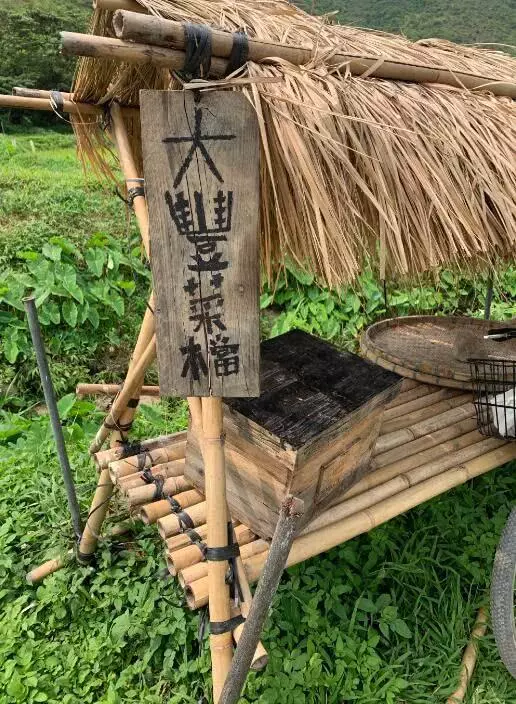 霍啟剛郭晶晶帶兒子下地插秧,豪門少爺幹勁十足超接地氣!