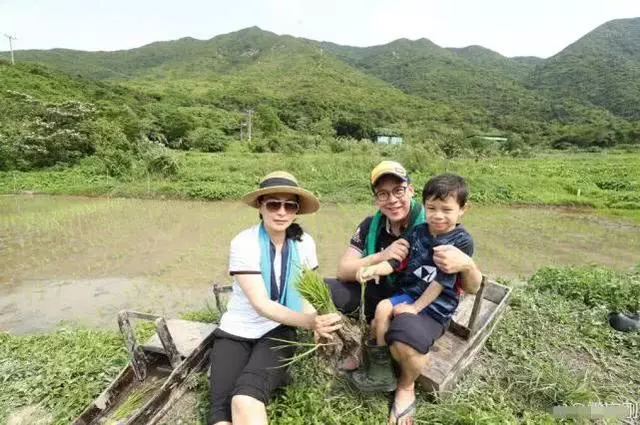 霍啟剛郭晶晶帶兒子下地插秧,豪門少爺幹勁十足超接地氣!