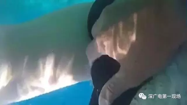 美女遊客在Sabah仙本那潛水被教練"狂吃豆腐"!網民: 丟臉丟到國外!
