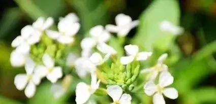 我的老伴走了!一位孤獨老人的寄語,看完泣不成聲!分享給大家~