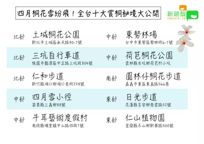 4月桐花雪紛飛!全台10大浪漫賞桐秘境大公開