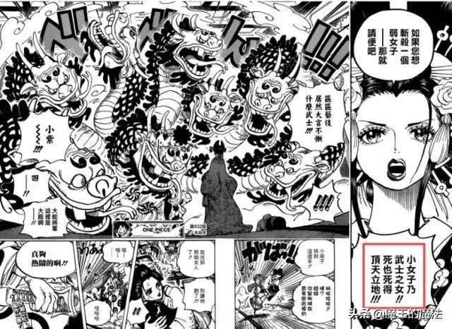 海賊王漫畫939話:小紫身份已經實錘,河松是養父還能變身河童