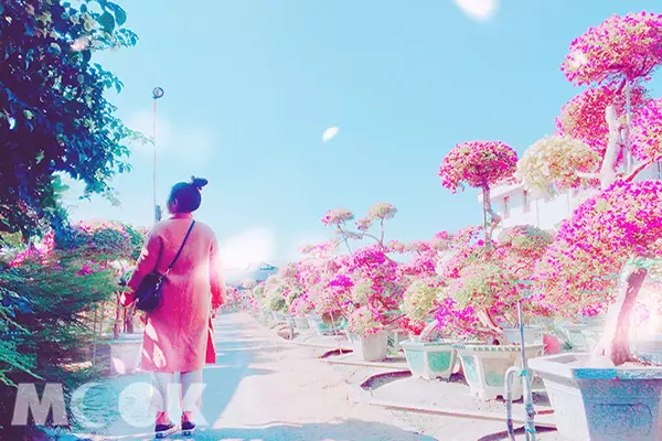 公路花園玩轉田尾!一日漫遊小鎮超有趣