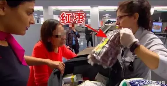 大媽去澳洲探望兒子,過海關時被攔,行李箱一打開,竟成了所有人的噩夢!