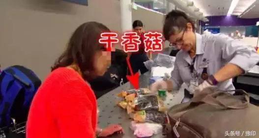 大媽去澳洲探望兒子,過海關時被攔,行李箱一打開,竟成了所有人的噩夢!