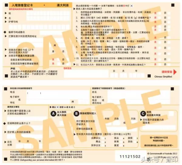 大媽去澳洲探望兒子,過海關時被攔,行李箱一打開,竟成了所有人的噩夢!