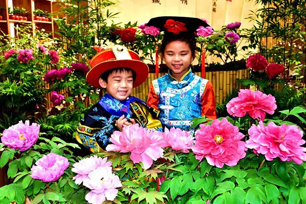 牡丹花季開滿苑 免費格格裝穿越御花園