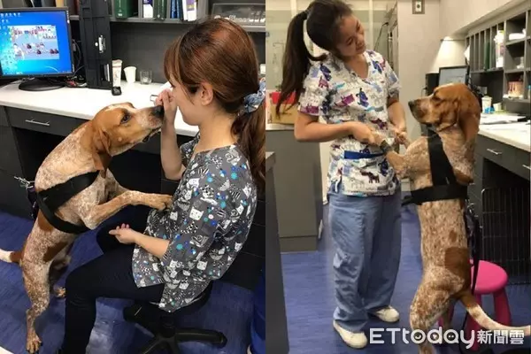 護國神犬私生活大曝光!10隻檢疫犬「排隊健檢」 緊張躺床照X光