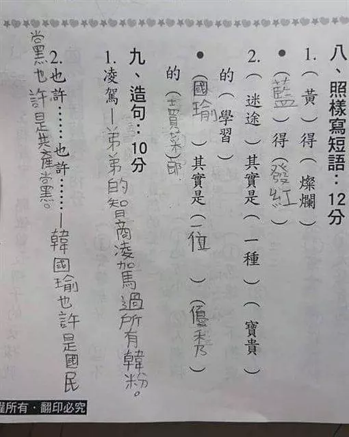 國小生看破藍政局!作業這樣答驚呆網