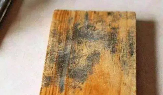 菜板發霉發黑對健康危害大,用這個笨方法,菜板煥然一新!