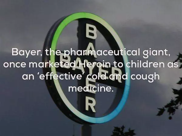 20個讓你嚴重懷疑要打掉大腦重練的不可思議驚奇事實~~~