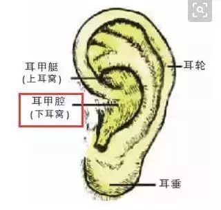 揉耳朵,最簡單的養生法,每天只需10分鐘,氣血通暢了,病痛減少了,身體發生驚人變化