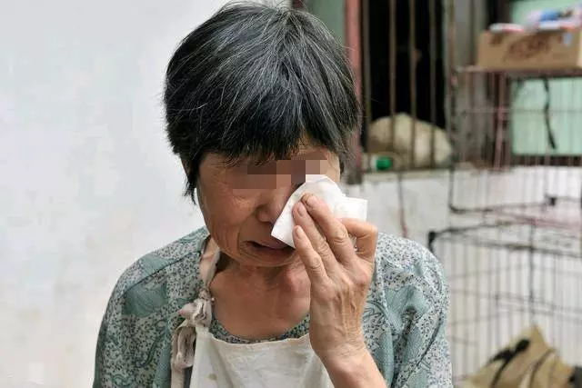 兒子半年沒回家兒媳懷孕兩個月,我逼兒媳打胎,孩子出生後我傻了