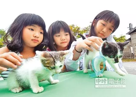 喵星人出獄 大哥也掉淚