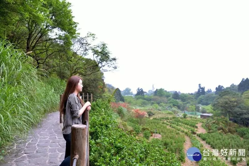 踏尋火山孕育的良田沃土 走訪水車寮步道探索蓬萊米故鄉