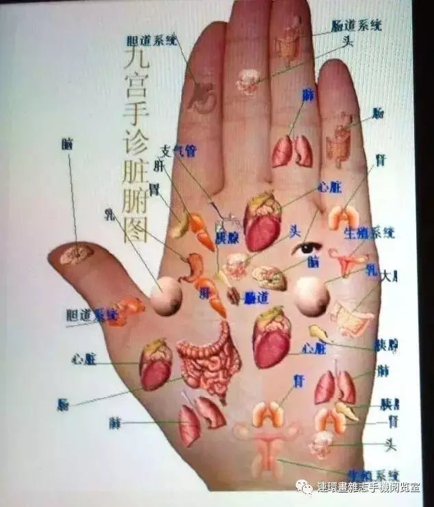 五髒之毒是什麼?在中醫看來,我們體內有很多毒素,凡是不能及時排出體外