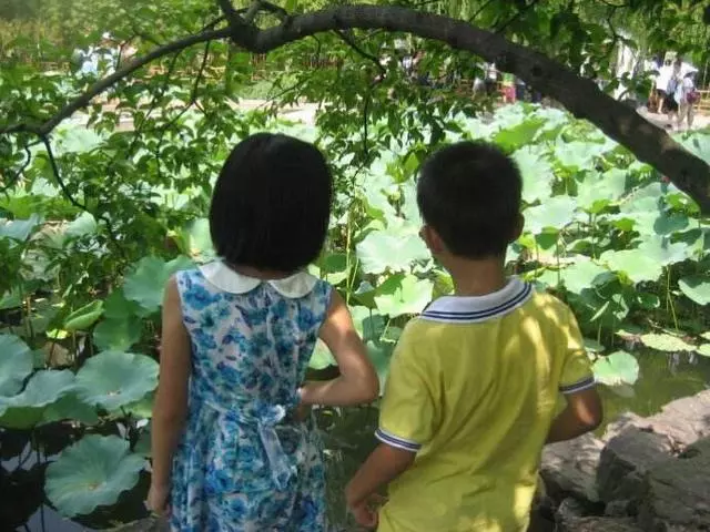 接岳母來照顧兒子,三個月給她兩萬,兒子跟我說一話,我趕走她