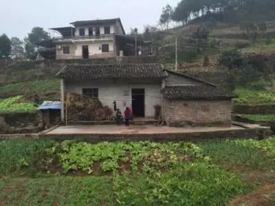 在外打工七年,只給家裡打過五次電話,過年時回家才知家已異主