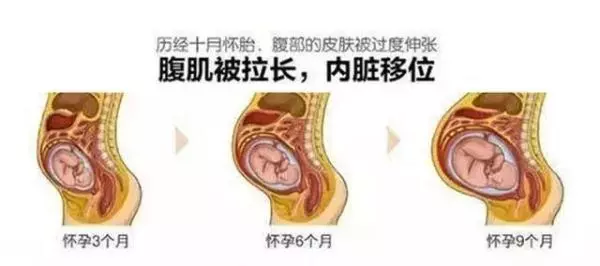 胎寶寶越來越大,媽媽的內臟都被擠到哪裡去了?看完趕緊抱抱老婆