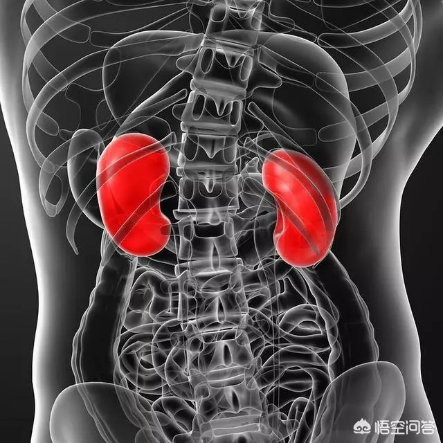 高血壓常與腎病「狼狽為奸」,怎樣預防高血壓腎病最高效?