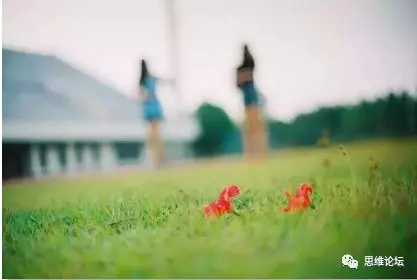 餘生不長,和誰在一起,真的很重要