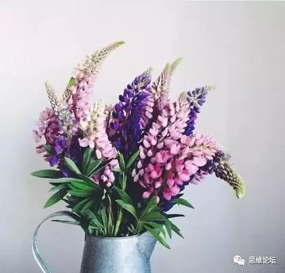 餘生不長,和誰在一起,真的很重要