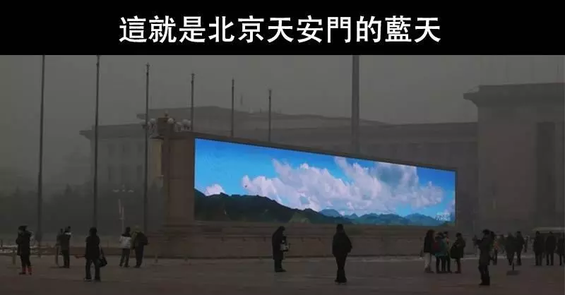 19張你沒看錯「真的發生在這個世界上」的超毛照片