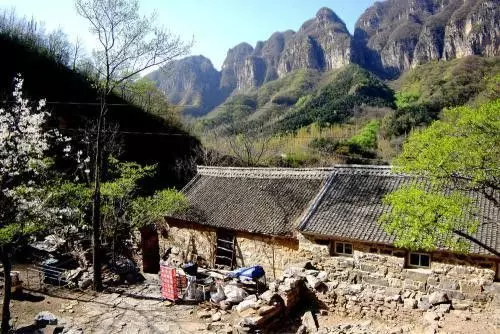 雙胞胎女兒被人玷污殺害,託夢給父親說救命,挖開墳墓眼睛濕了