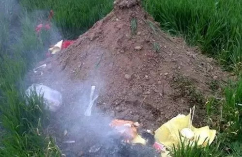 雙胞胎女兒被人玷污殺害,託夢給父親說救命,挖開墳墓眼睛濕了