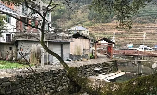 女子河邊洗衣服,遇條黑魚爬上岸,魚道一語,女子回村綁抓了丈夫