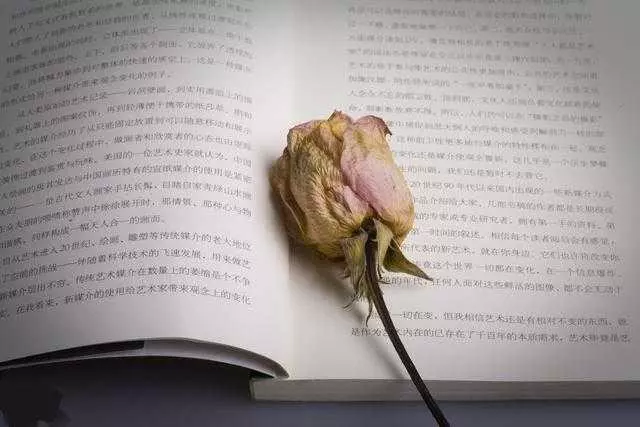 母親去世父親娶保姆,偶然從她包里發現一張紙,我臉嚇綠六神無主