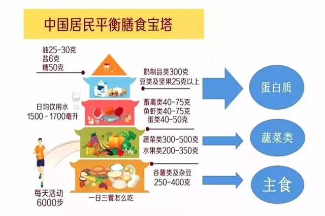 把握這個營養餐搭配基本標準:主食+蔬菜+優質蛋白