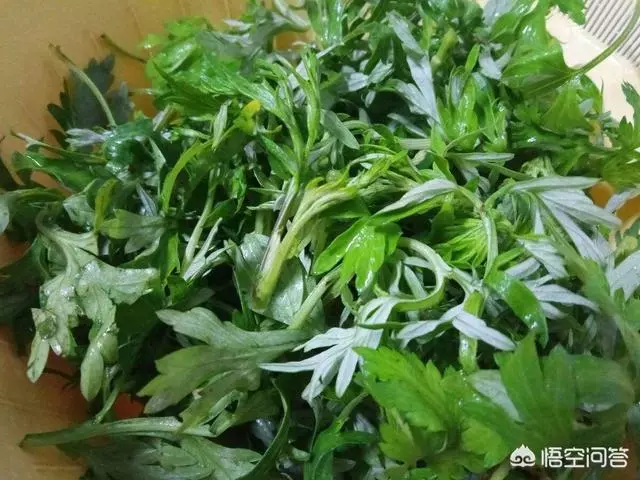 草有很大的藥用價值。艾草不僅可以用來艾灸、藥浴、泡茶、驅蚊還可以用來作艾葉枕頭