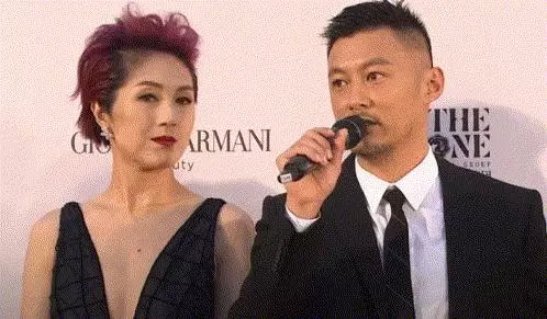 金像獎紅毯高清照:女明星爭艷秀身材,劉德華郭富城風采依舊!