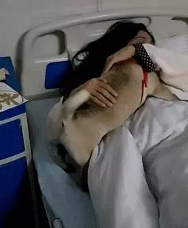 女主人都快生了,四條狗狗緊隨上急救車,怎麼驅趕就不下車,醫生:我坐那裡?