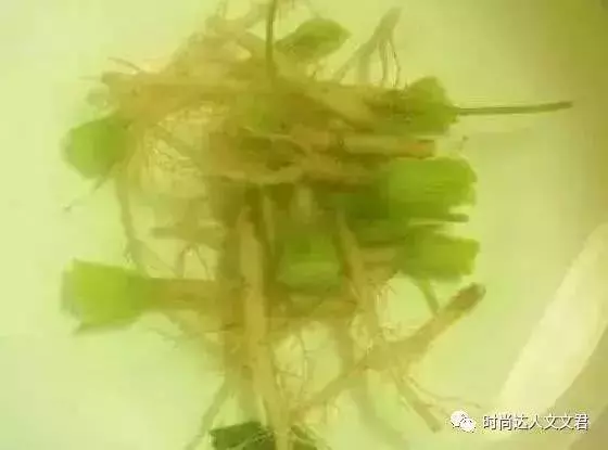 每天用它煮水喝,勝過100片面膜!美白又祛斑,最主要的是省錢
