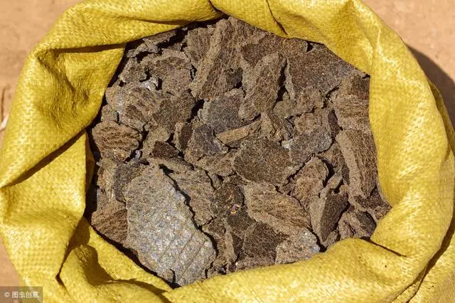 讓松柏盆景四季常青的秘訣!一種肥料簡單搭配,全年輕鬆養護!
