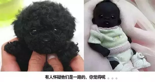 直擊世界上最黑的嬰兒,如今已經長大變這樣,網友:晚上自帶隱身功能!