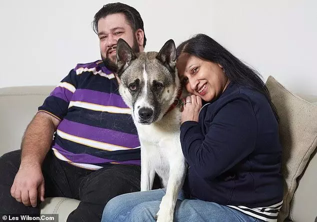 檢測純種犬發現很多狗都是串串,會不會有人丟狗呢?