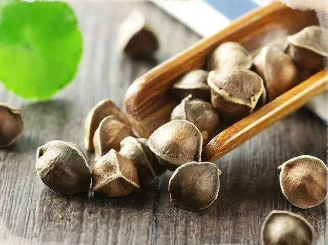 此物是酒精的「天敵」,喝酒前吃上兩粒,不會喝酒也能「千杯不倒」
