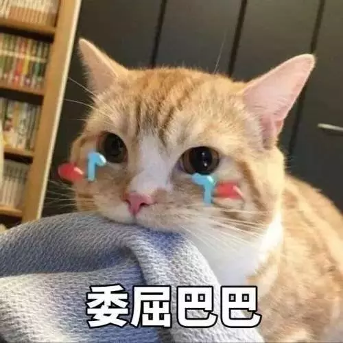 「中國製造」火爆新加坡,深夜12點打地鋪也要等!