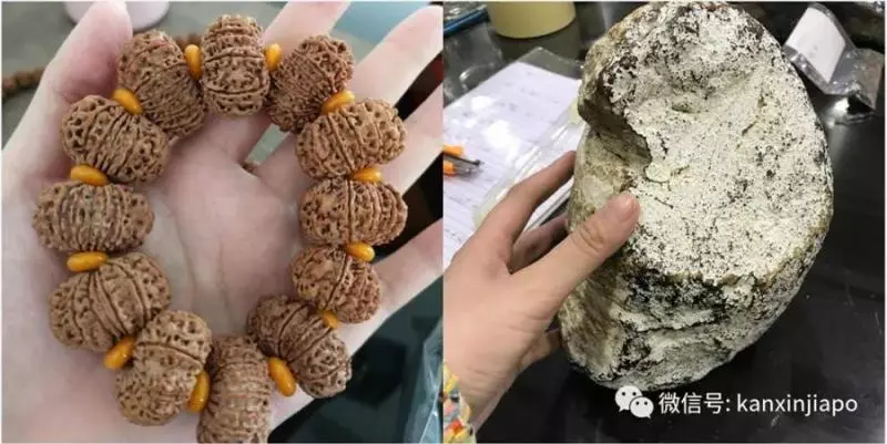 新加坡驚現芭比粉蘭博基尼,車主比車吸睛!