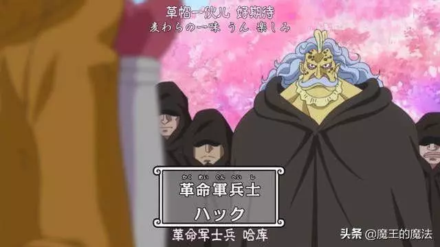 海賊王880集:革命軍座位圖透露巨大信息,神秘空位直指黃猿