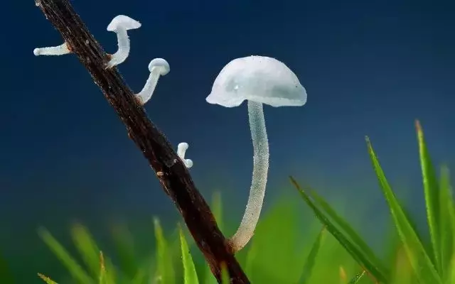 人生就是一場路過:生命的盡頭,你還是一無所有!|活好當下