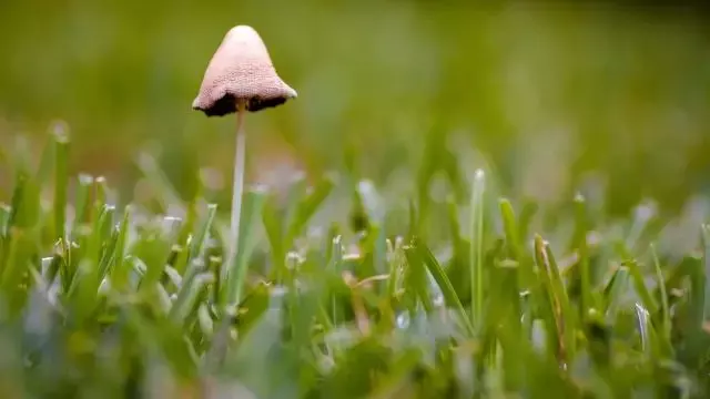 人生就是一場路過:生命的盡頭,你還是一無所有!|活好當下