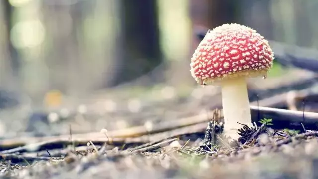 人生就是一場路過:生命的盡頭,你還是一無所有!|活好當下